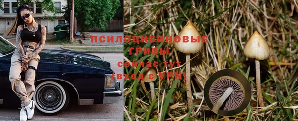 СК Алексеевка