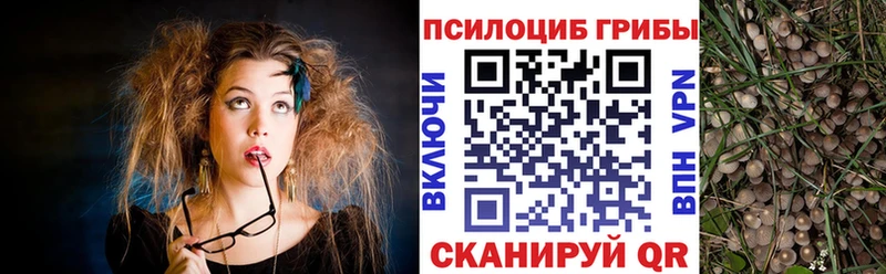 hydra ССЫЛКА  наркота  Полтавская  Псилоцибиновые грибы прущие грибы 